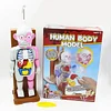 3D Jigsaw Puzzle Human Organ Model Party Game