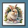 >SALE<5D DIY Full Round Drill Diamond Painting Rabbit Kit Home Decor Art Craft 30x30cm