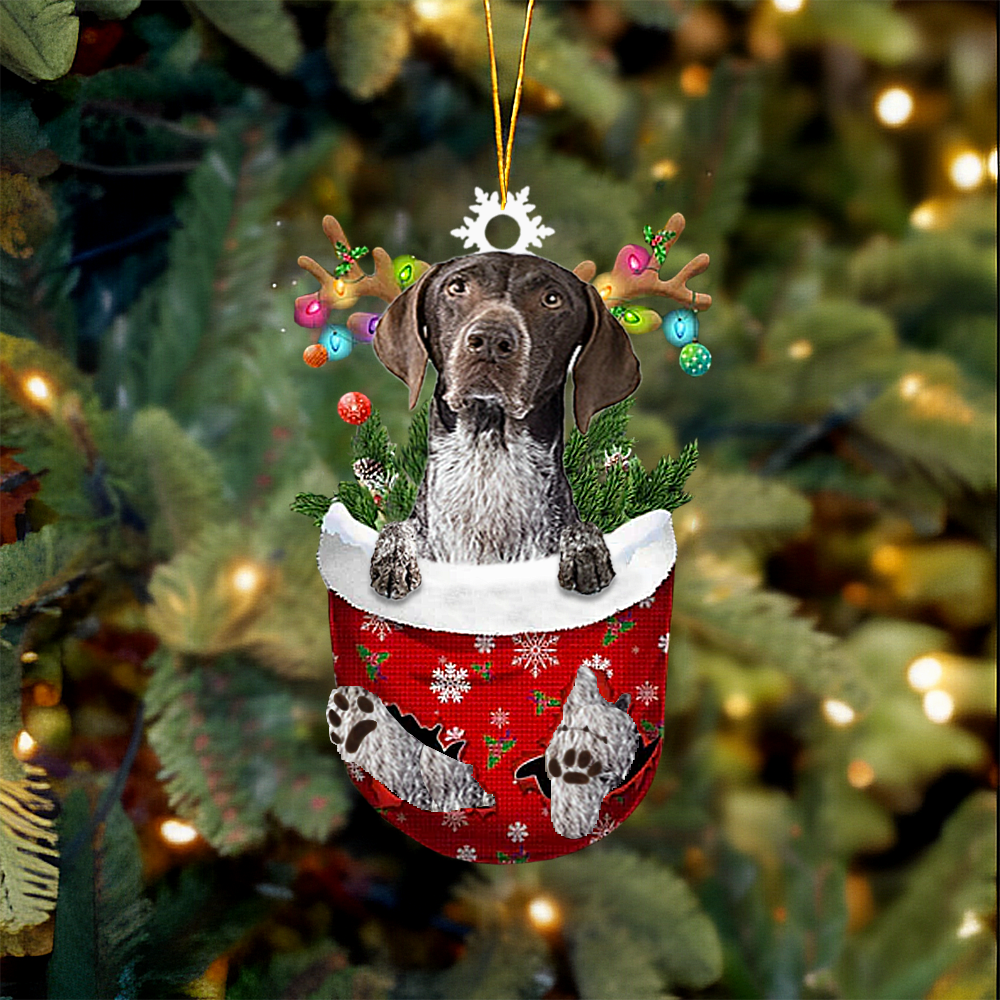 Blue Tick Hound Dog In Snow Pocket Christmas Ornament.