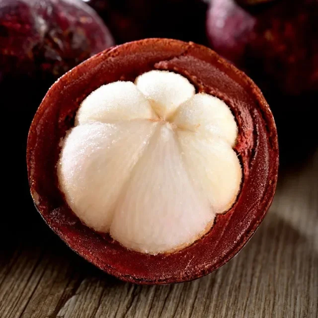 ✨Mangosteen – High yield, sweet and juicy flesh! ✨
