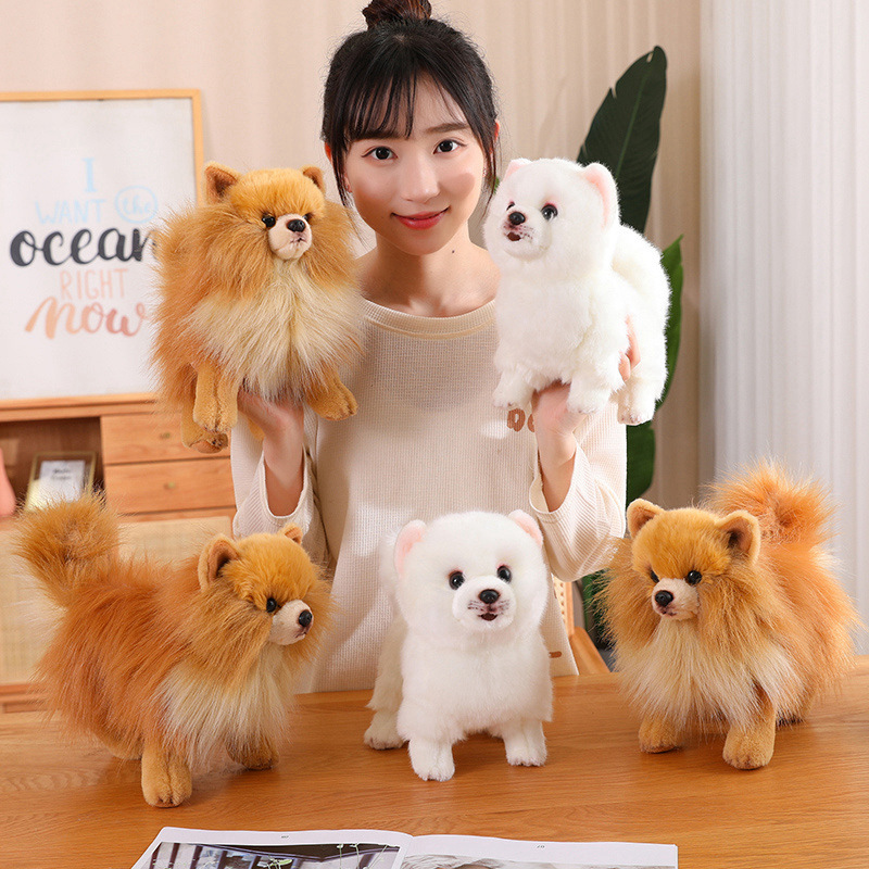 Tegooe Realistic Pomeranian Dog Plush Toy - Soft Stuffed Animal Puppy Doll for Kids