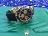 Rolex 116518LN Daytona Intense Black and champagne-colour - New