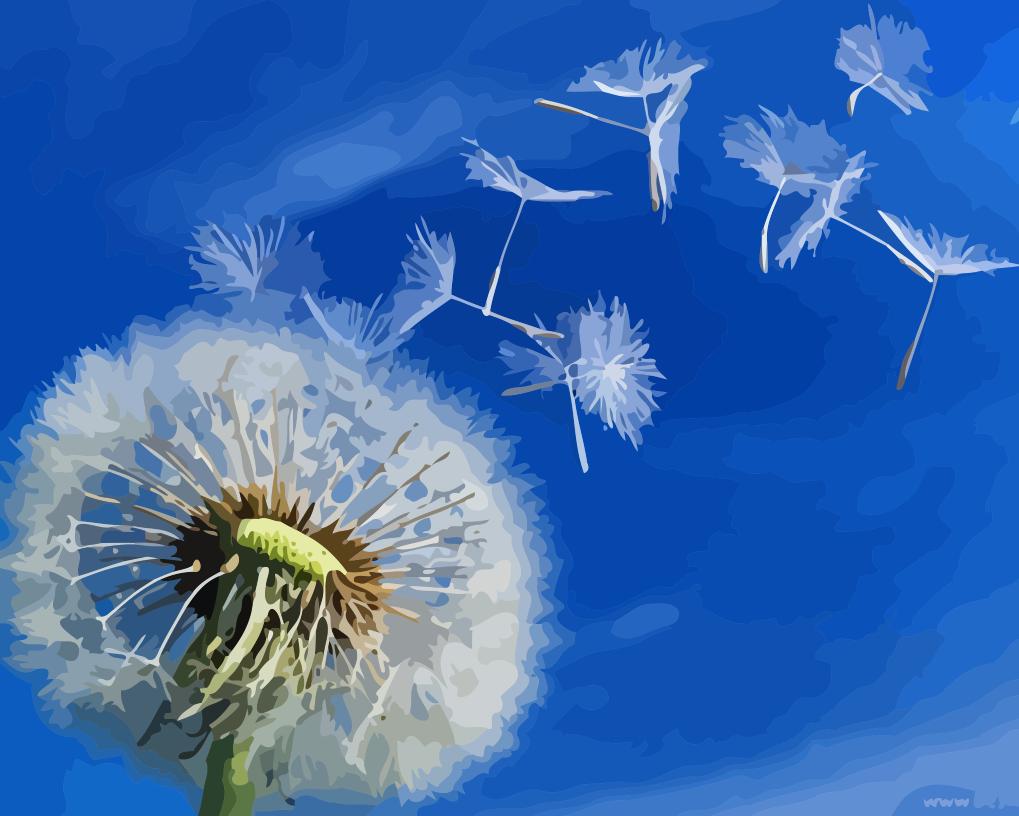 

Seed Dispersal By Wind – Paint By Numbers - 40*50CM, 501 Original