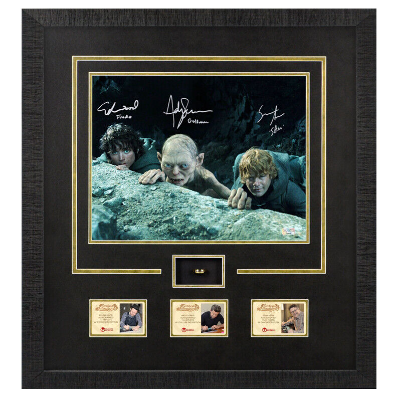 Elijah Wood, Andy Serkis, Astin Autographed Lord of the Rings 11x14 Framed Photo Poster painting