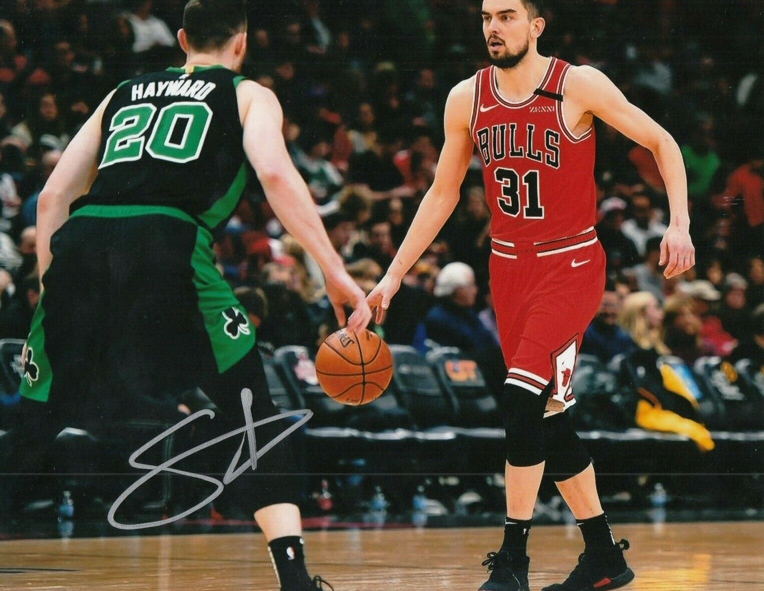 TOMAS SATORANSKY signed (CHICAGO BULLS) auto BASKETBALL 8X10 Photo Poster painting W/COA #1