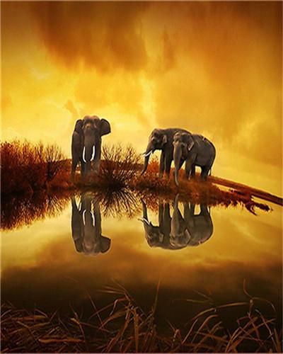 

Elephant in a Swamp – Paint By Numbers - 40*50CM, 501 Original