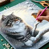 (Framed)Diamond Painting -DIY Round Drill Snow Cat with Frame(25x25cm)