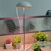 Full Spectrum Grow Lights Height Adjustable Plant Growing Lamp for Indoor Plants