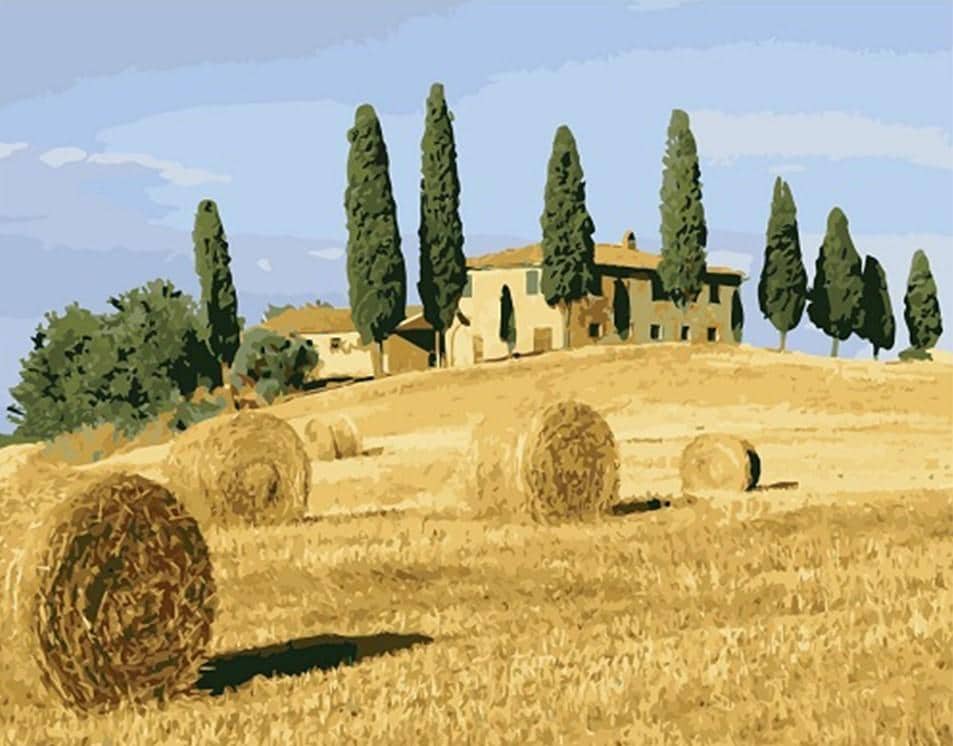 

Harvest Farm – Paint By Numbers - 40*50CM, 501 Original