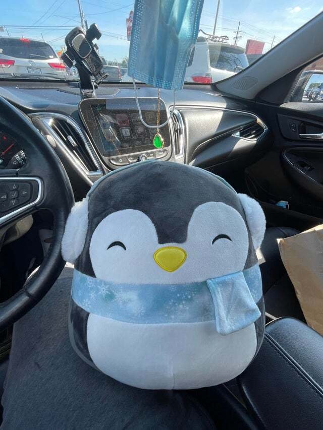 luna penguin squishmallow