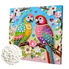 Two Birds Art Diamond Painting Kit for Adults Home Decor 25x25cm With Frame