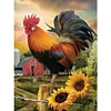 (Counted/Stamped) 11CT Cross Stitch - - Chicken And Sunflower 40*50cm/15.7x19.7in