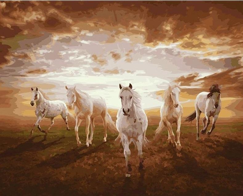 

Horses galloping on Sunset – Paint By Numbers - 40*50CM, 501 Original