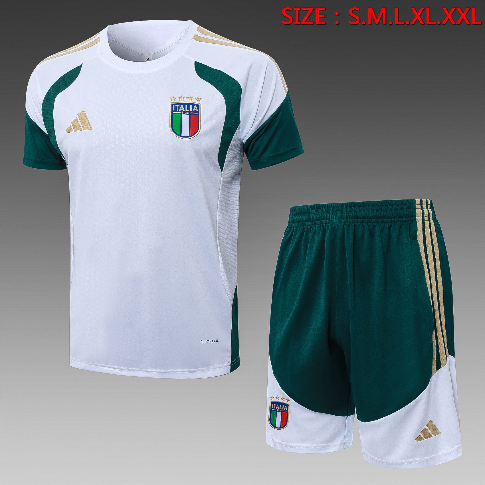 2026/2027 Italy Short sleeve white training Jersey+Shorts