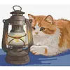 Orange Cat and Kerosene Lamp Partial Stamped Cross Stitch Kit 14CT 2 Strands 42x38cm
