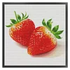 Strawberry-14CT Stamped Cross Stitch Egyptian Cotton 50*50cm/19.69*19.69in