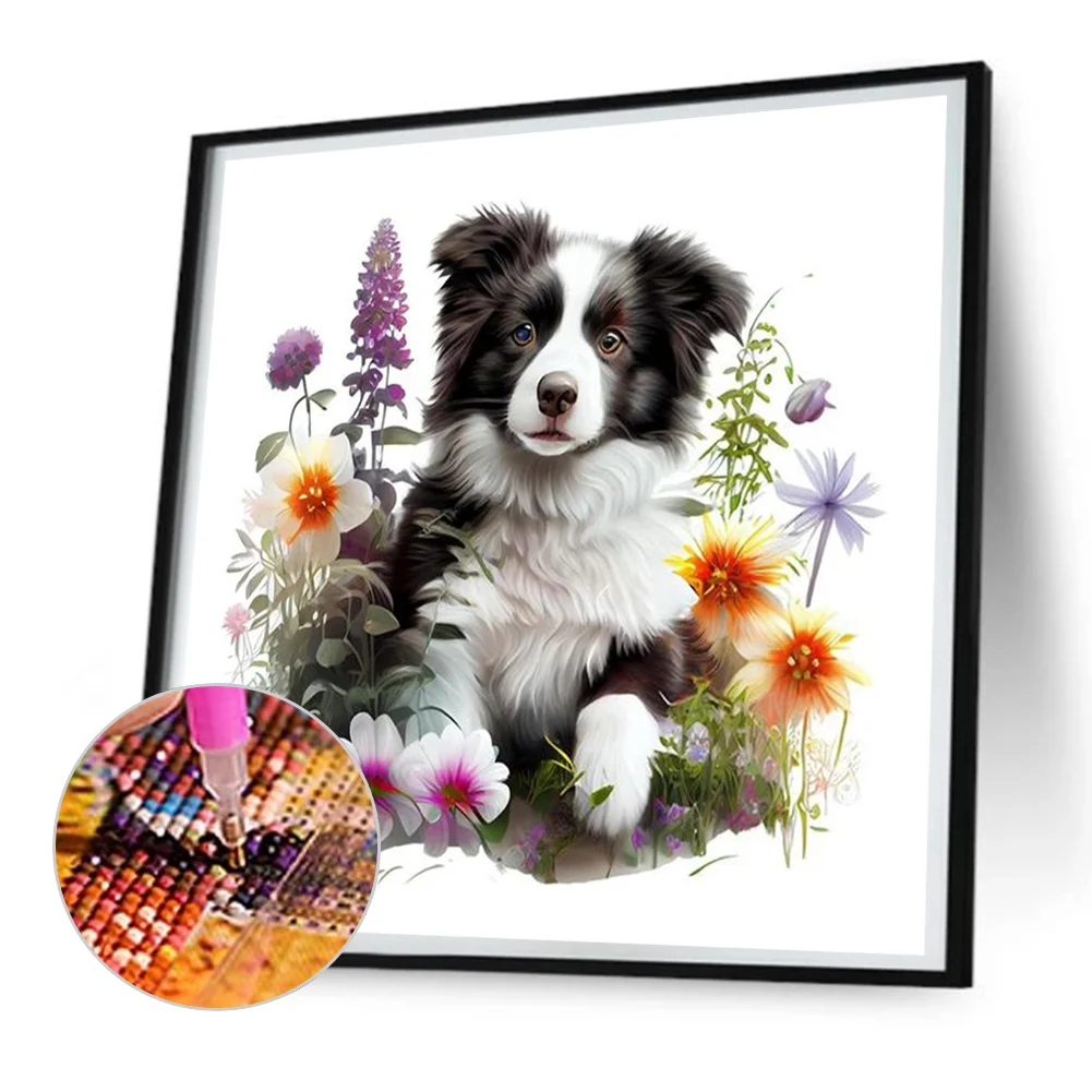 Diamond Painting - Full Round Drill - Border Collie in Grass(Canvas|30*30cm)