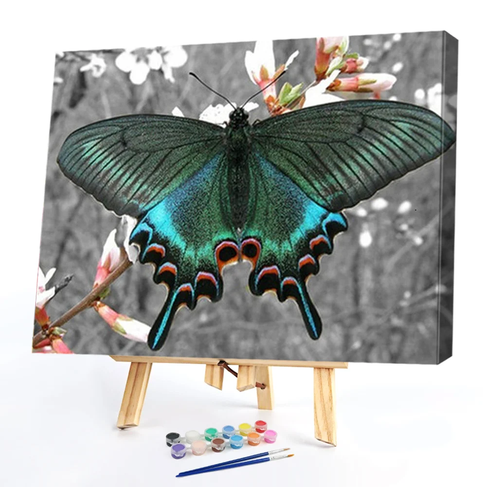 Butterfly - Paint By Numbers(50*40CM)