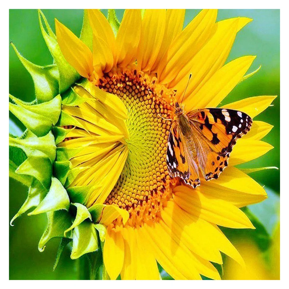 Diamond Painting - Full Round/Square Drill - Sunflower(30*30 - 50*50cm)