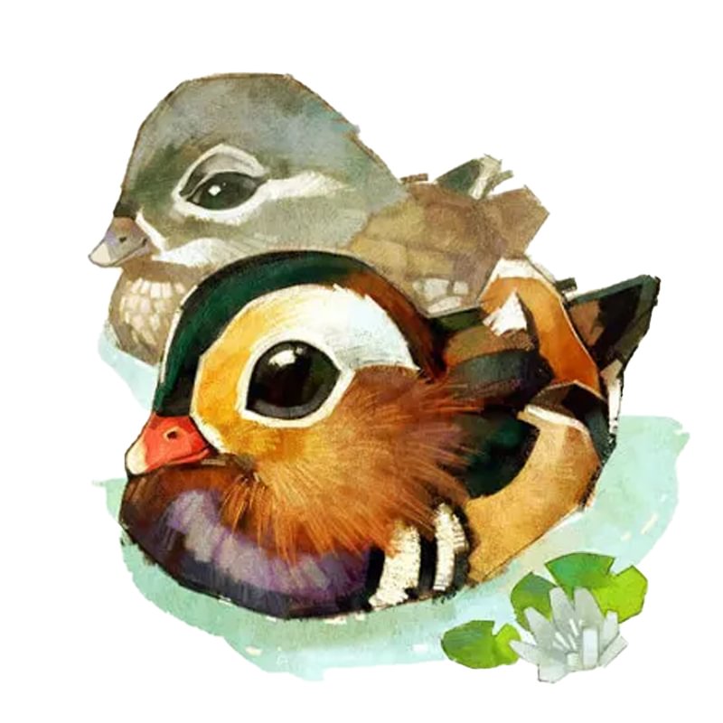 Ericpuzzle™ Ericpuzzle™mandarin duck Jigsaw Puzzle