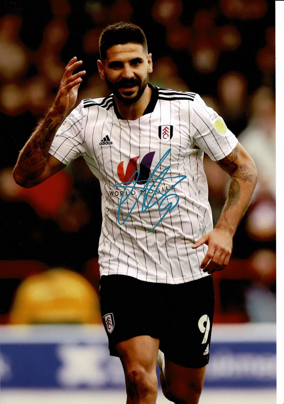 Aleksandar Mitrovic Signed 12X8 Photo Poster painting Fulham F.C. Autograph AFTAL COA (1644)