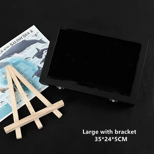 Foto del pin Caja con tapa transparente para pines · modelo 4