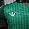 Joyfball 2026 Player Version Algeria National Team Away Football Shirt（The player version jersey is a bit tight, please pay attention to the size selection）