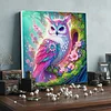 Framed Diamond Painting - Special Shaped - Pink Owl (25x25cm)
