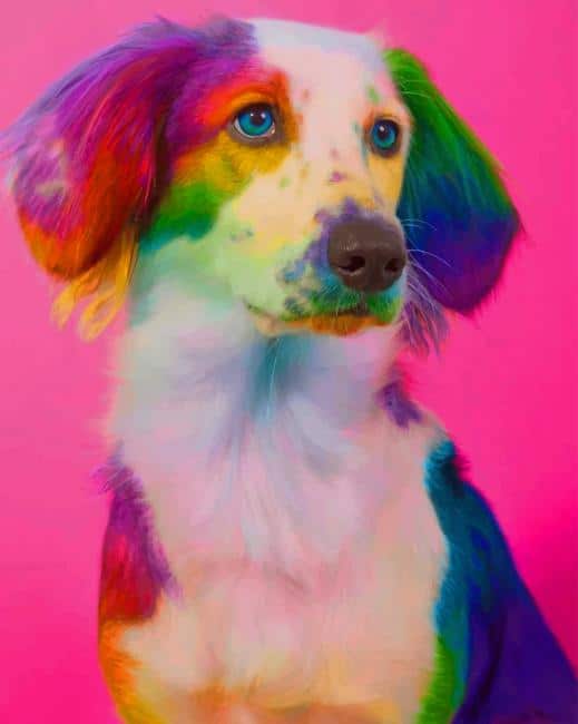 

Rainbow Dog – Paint By Numbers - 40*50CM, 501 Original