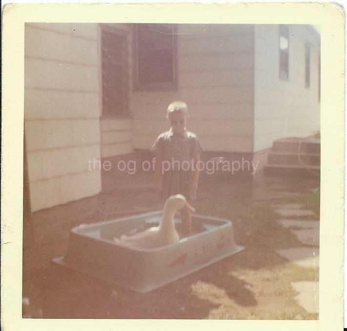 POOL BOY Bird FOUND Photo Poster painting ColorOriginal Snapshot VINTAGE 911 16