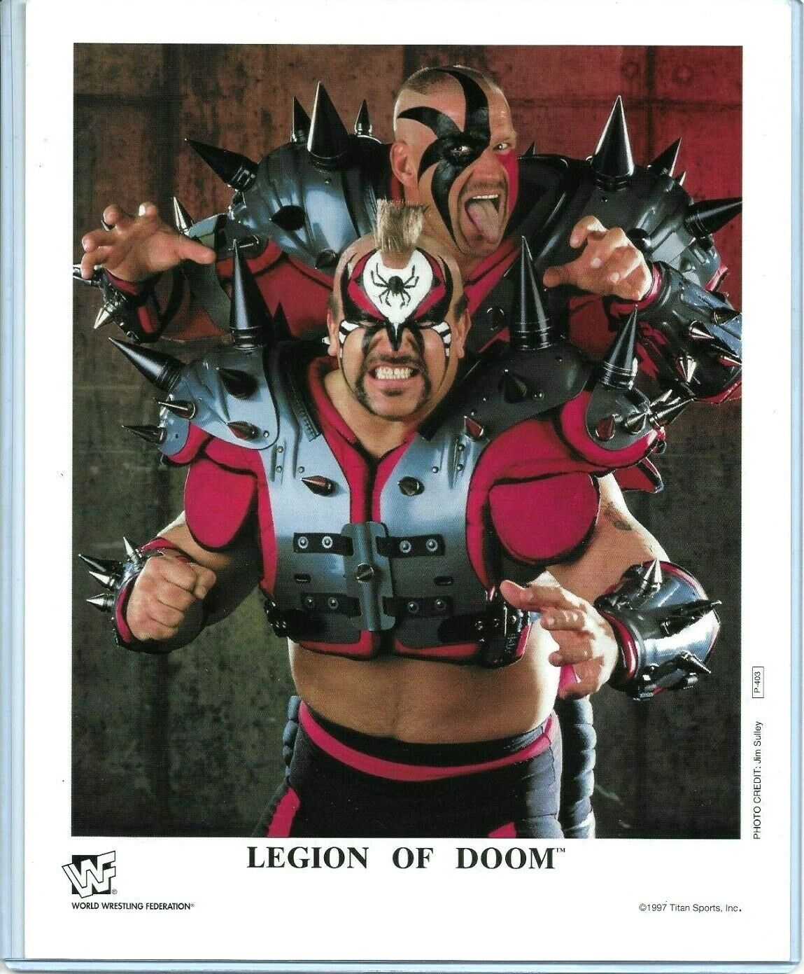 WWE LEGION OF DOOM P-403 OFFICIAL LICENSED AUTHENTIC ORIGINAL 8X10 PROMO Photo Poster painting