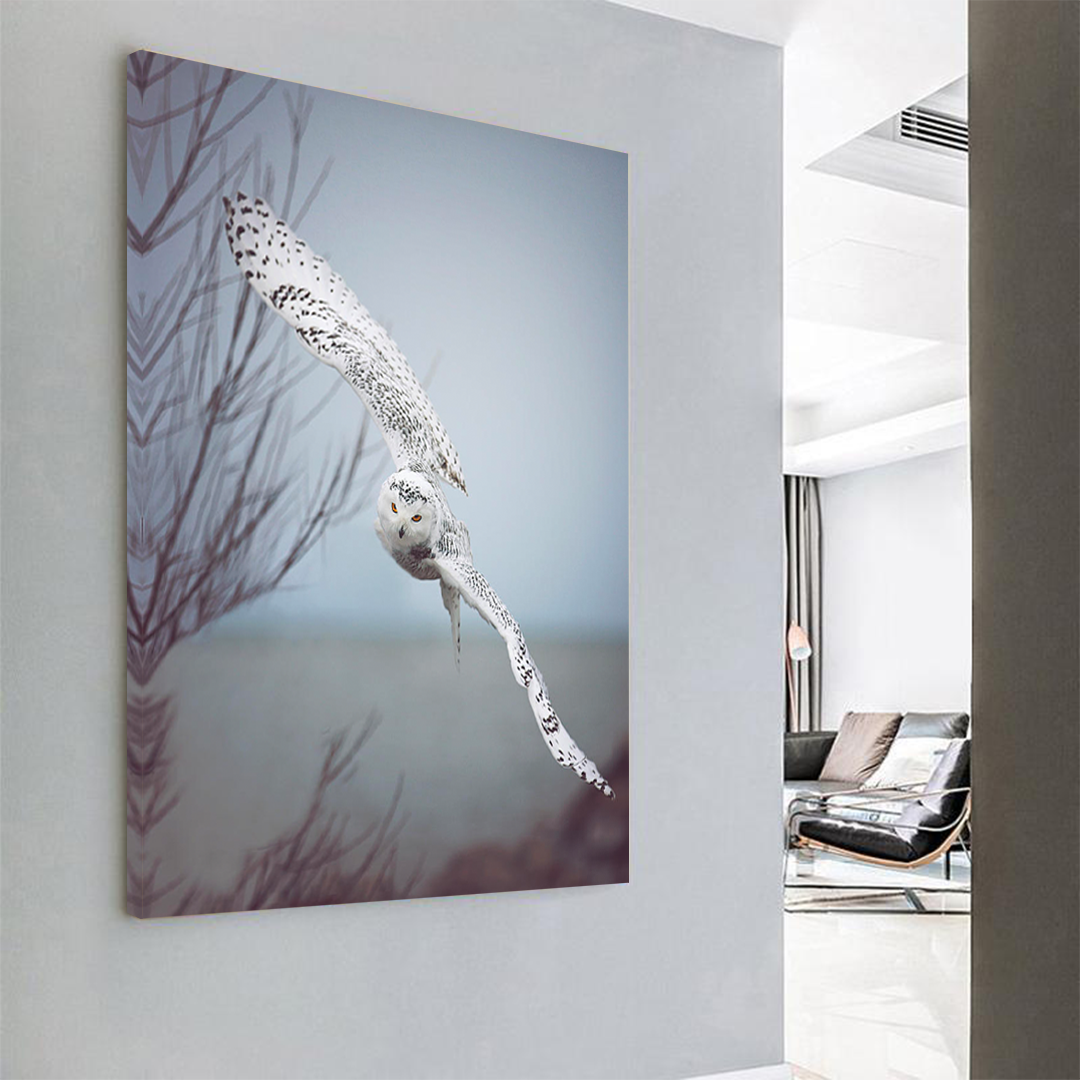 Snowy Owl In Flight Canvas Wall Art 