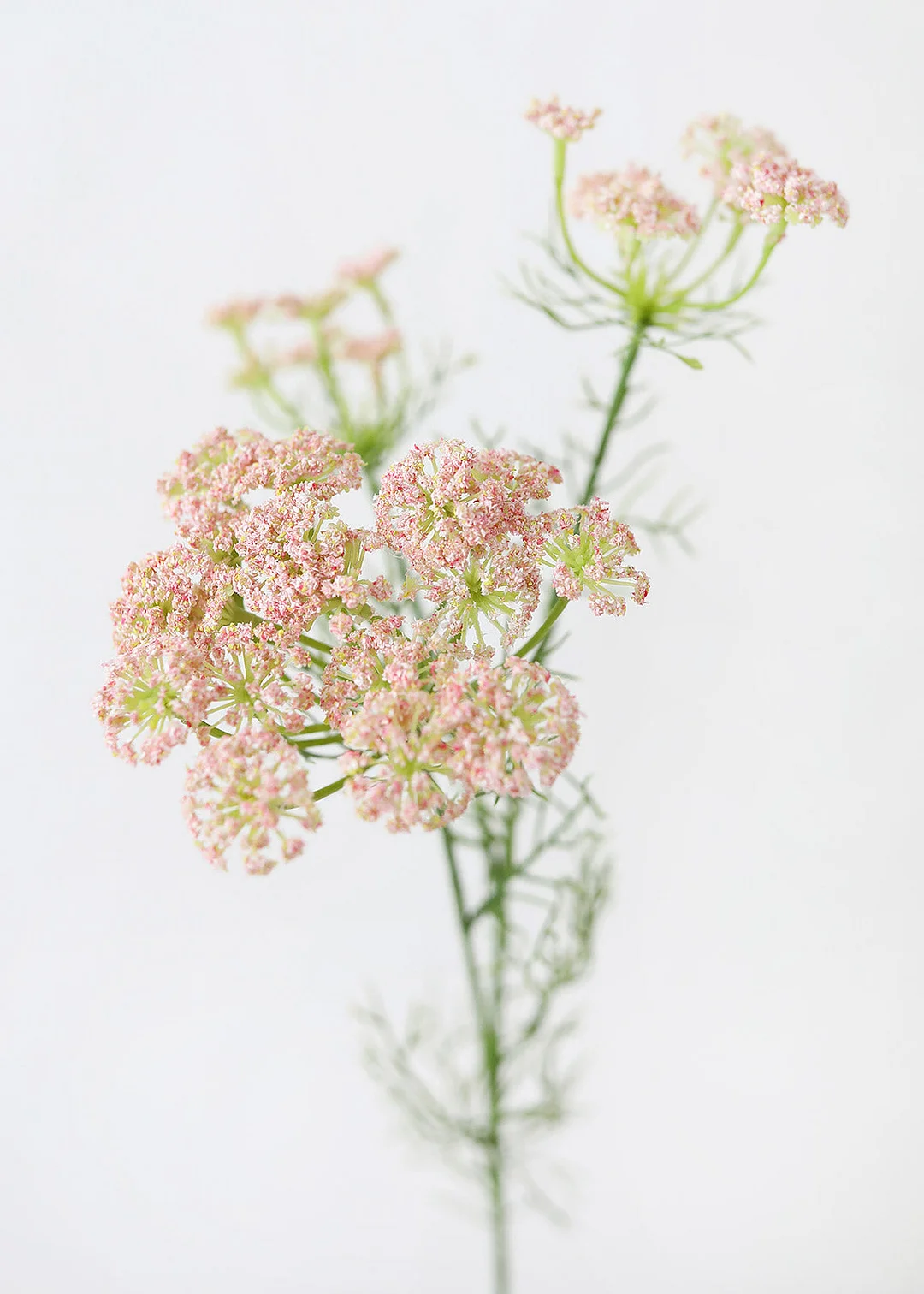 Faux Dill Wildflowers in Pink - 35"