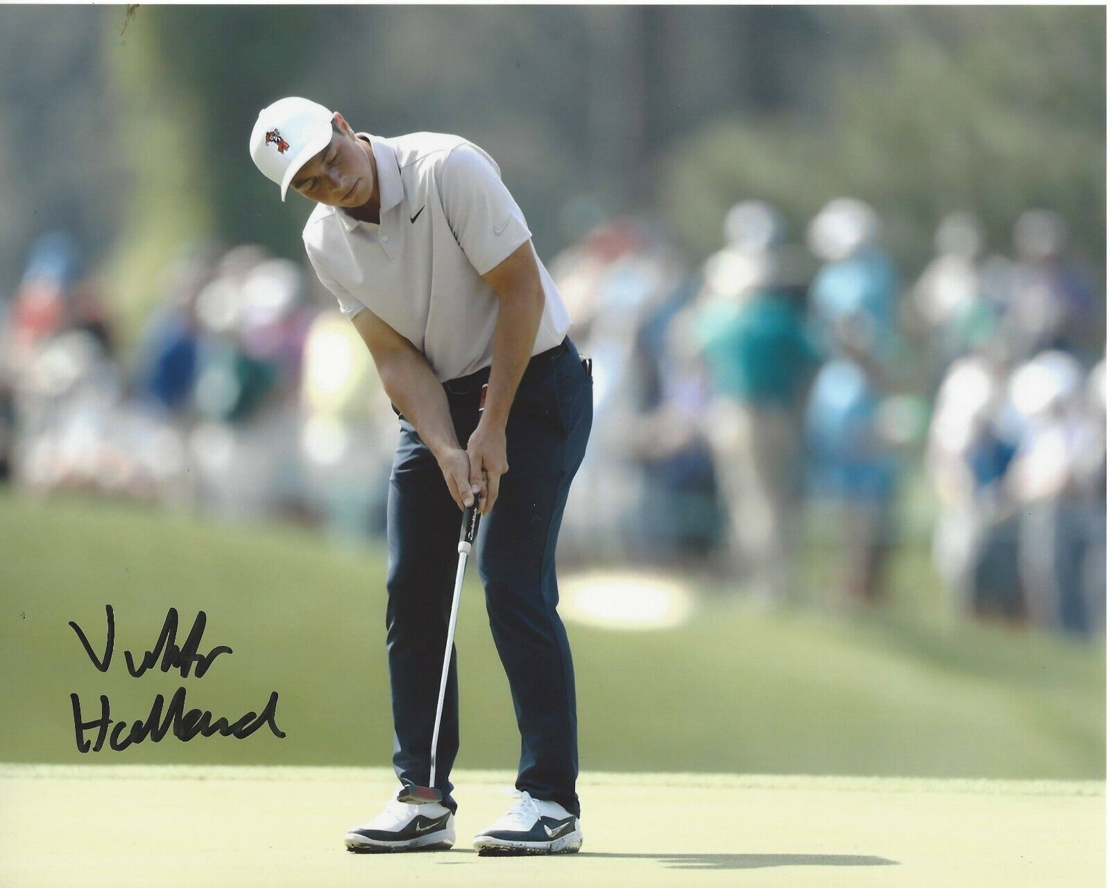 PGA GOLFER VIKTOR HOVLAND SIGNED 8x10 Photo Poster painting A w/COA OKLAHOMA STATE 2018 US AM