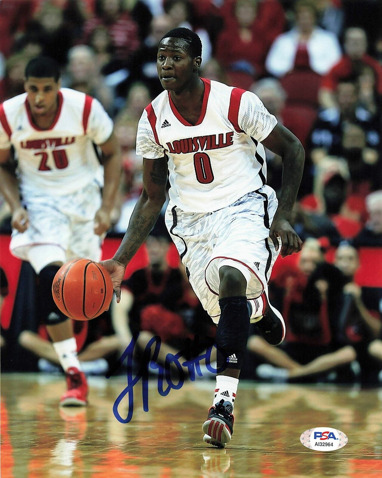 Terry Rozier signed 8x10 Photo Poster painting PSA/DNA Boston Celtics Autographed