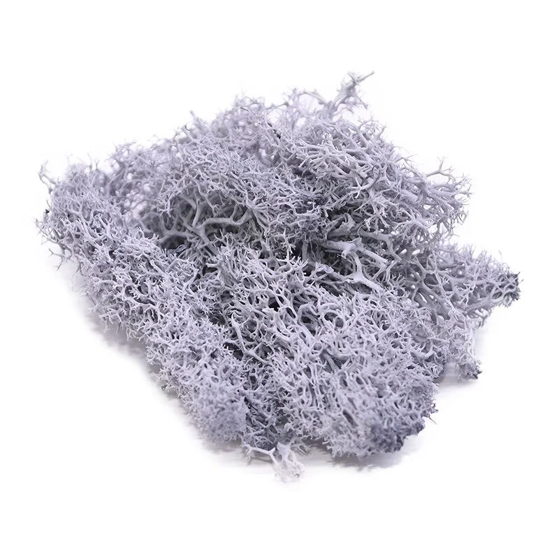 20g Artificial Plant Eternal Life Moss Garden Home Decoration Wall DIY Flower Material Mini Garden Micro Landscape Accessories