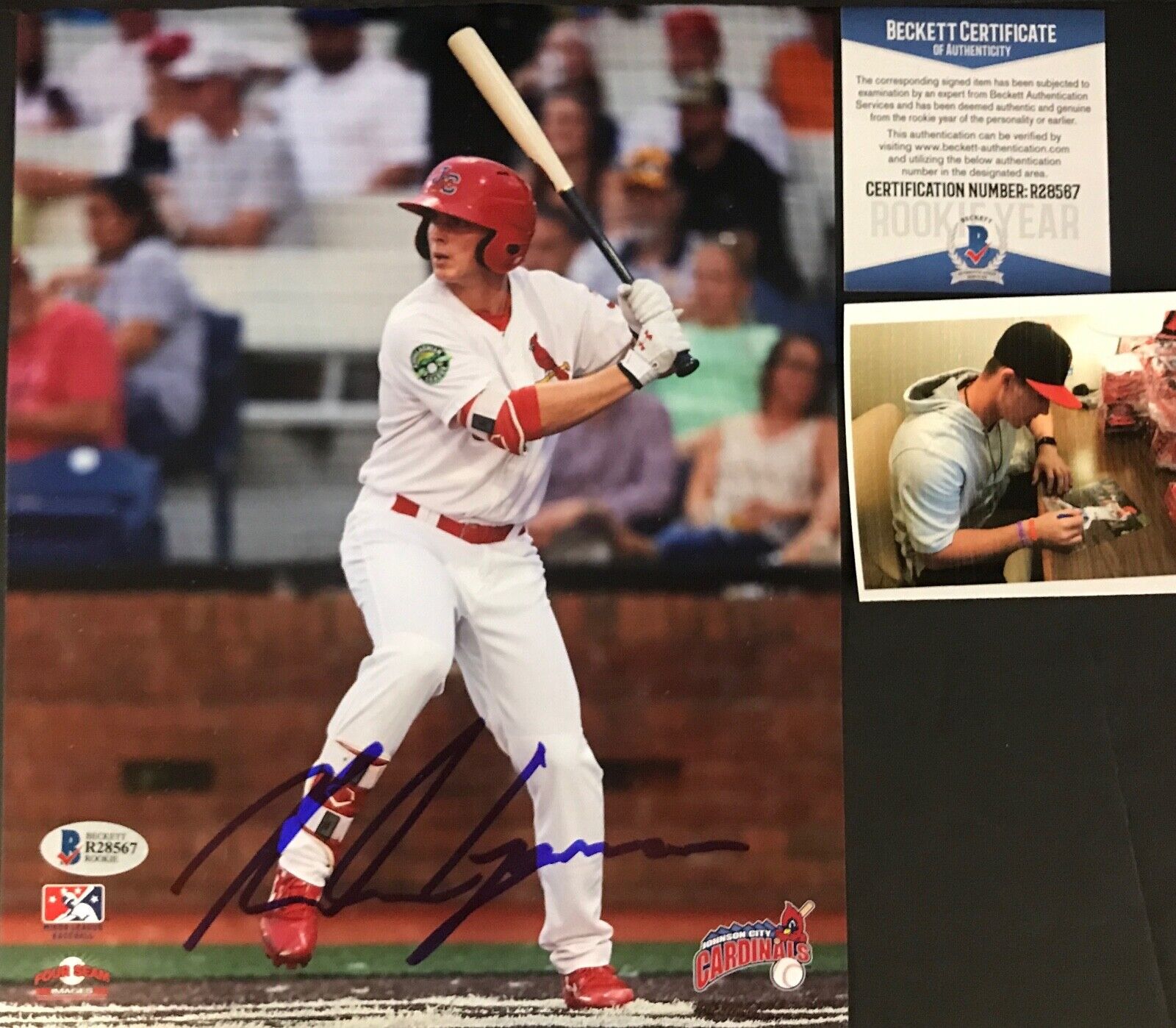 Nolan Gorman Cardinals Autographed Signed 8x10 Photo Poster painting BECKETT ROOKIE COA