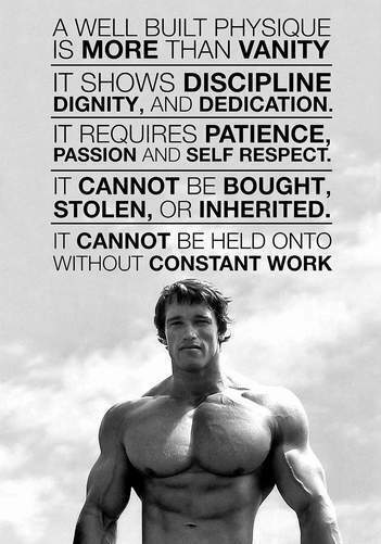 ARNOLD SCHWARZENEGGER - BODYBUILDING GYM 5 - Photo Poster painting QUALITY INSERT -  POST