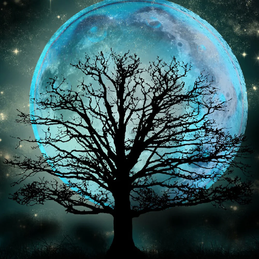 Diamond Painting - Full Round/Square Drill - Moon(30*30 - 50*50cm)