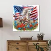 Diamond Painting-DIY Framed Crystal Rhinestone American Flag and Horse(25x25cm)