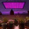 45W 225 LED Grow Lamp Red Blue LED Indoor Grow Lights Full Spectrum Plant Lamp