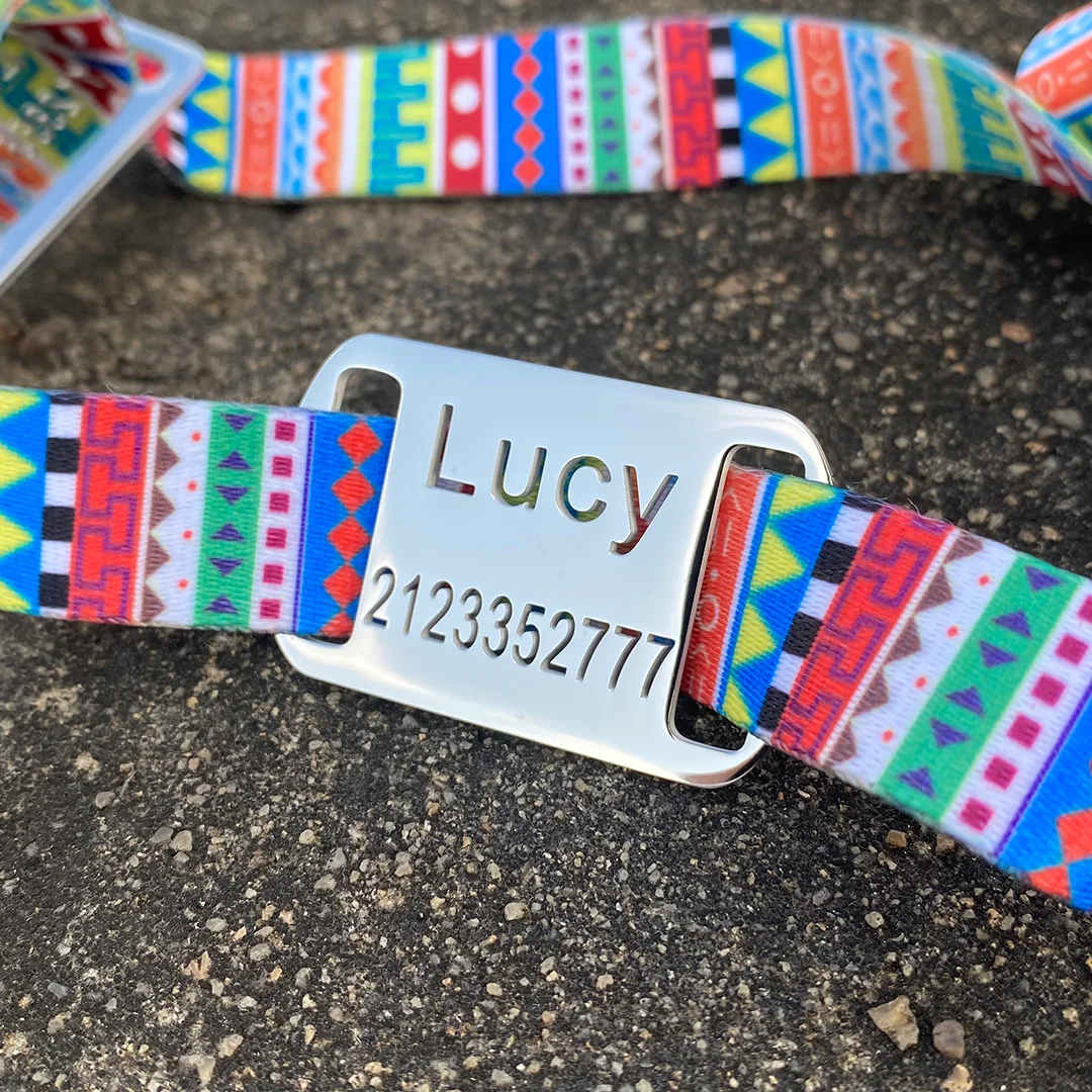 Dog Collar with Personalized Slide-On Nameplate