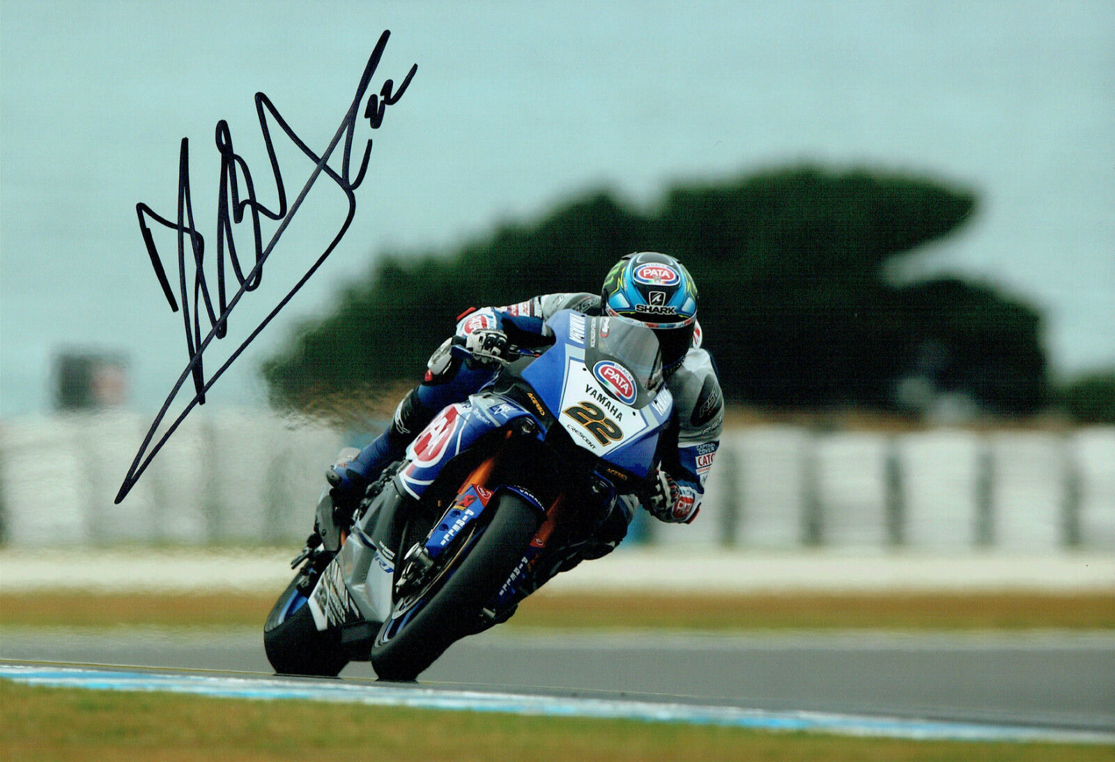 Alex LOWES SIGNED WSBK Autograph YAMAHA PATA 12x8 Photo Poster painting B AFTAL COA