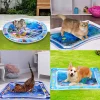 Tapis sensoriel gonflable d'eau de temps de ventre pour l'animal de compagnie de b&eacute;b&eacute;