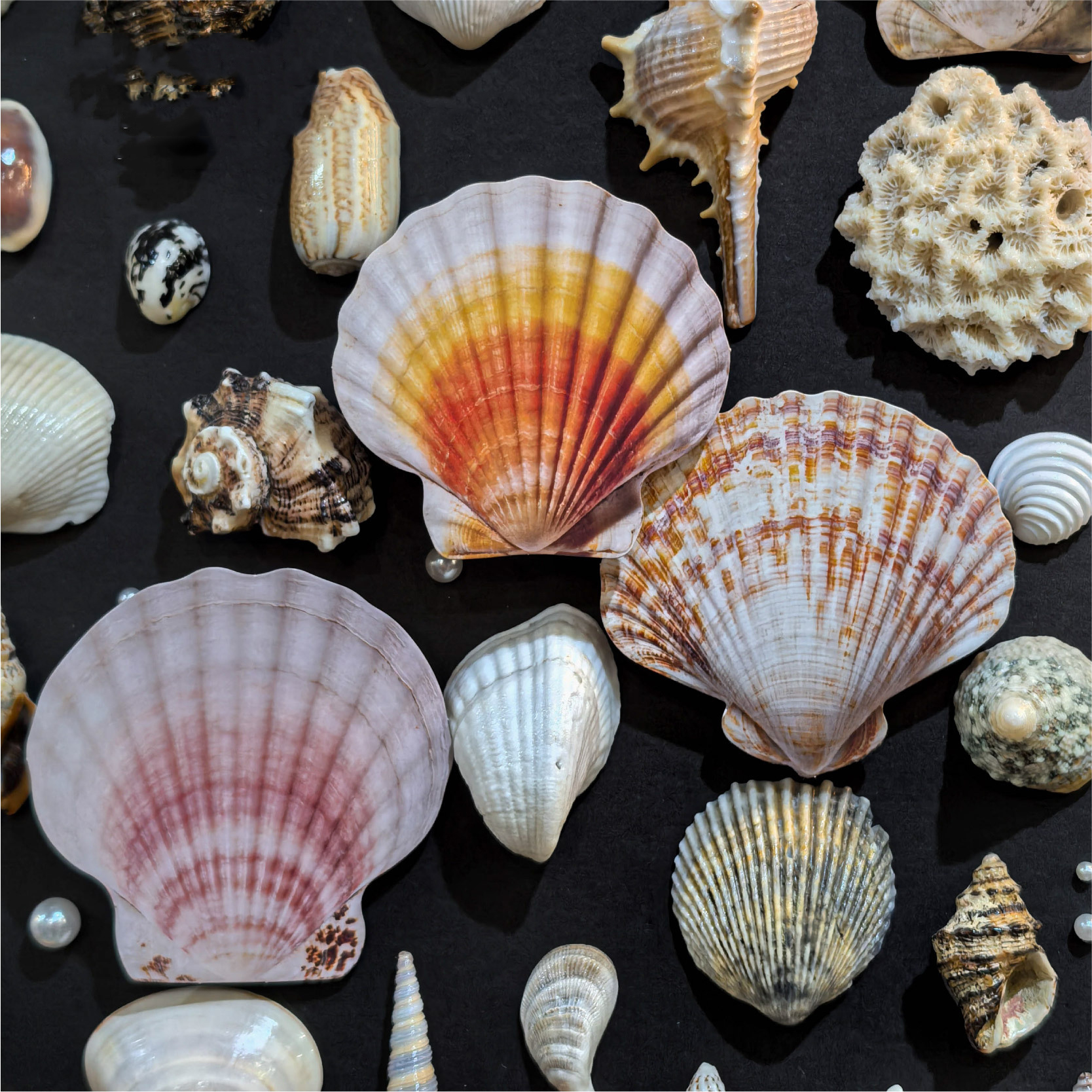 스티커 - 시베이 시리즈 빈티지 컬러풀 쉘