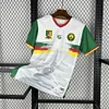 Cameroon 2025/26 Third Shirt