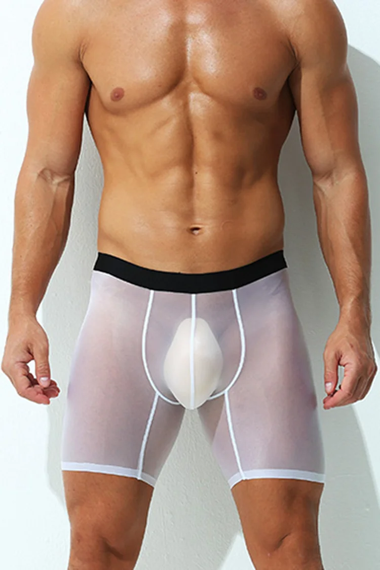 Men's Ultra Thin Transparent Ice Silk Mesh Stretchy Boxers Briefs
