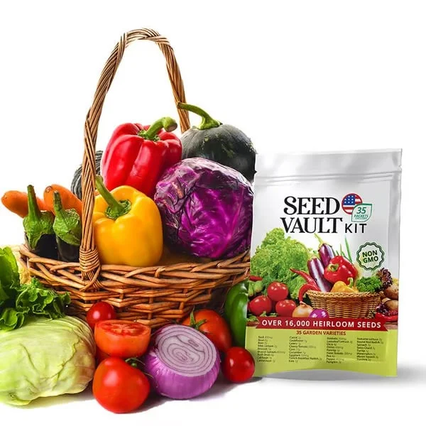 Vegetable Seed Vault Kit | 35 Variety Pack 