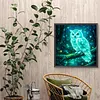 Diamond Painting -DIY Round Drill Fluorescent Owl(40x40cm)