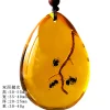Insect Amber Pendant Natural Butterfly Specimen Insect Amber Necklace Children's Hanging Accessories